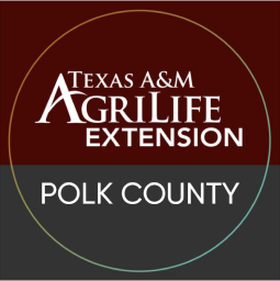 texas A&M